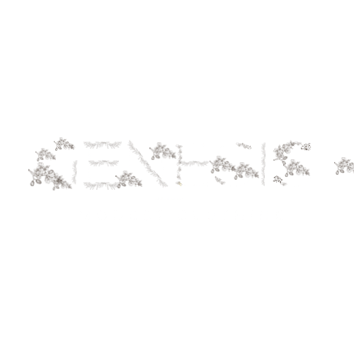 Genesis boutique