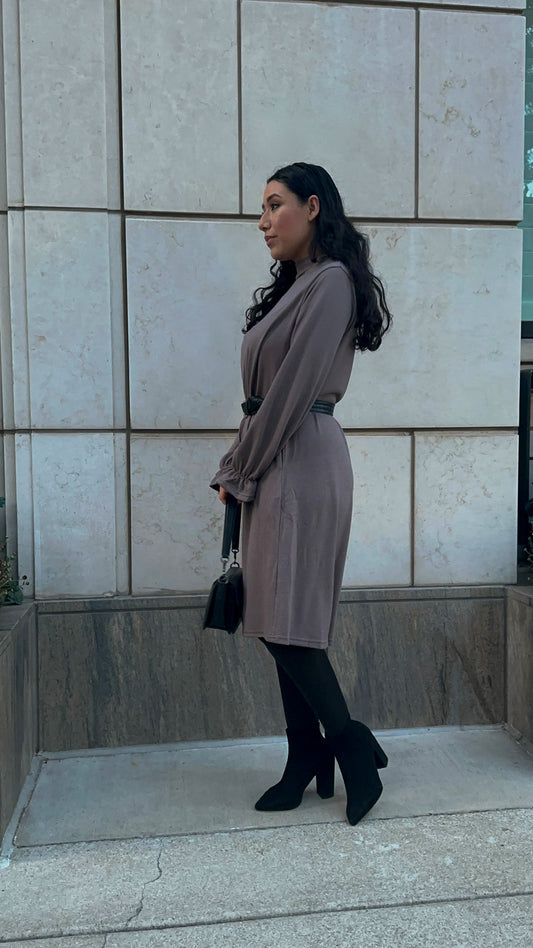 Rachel Sweater Dress -